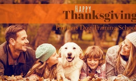 Four Reasons Why Dogs LOVE Thanksgiving