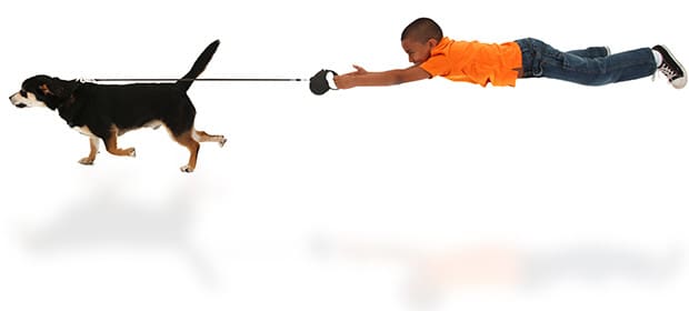 Tips and Tricks for Leash Training