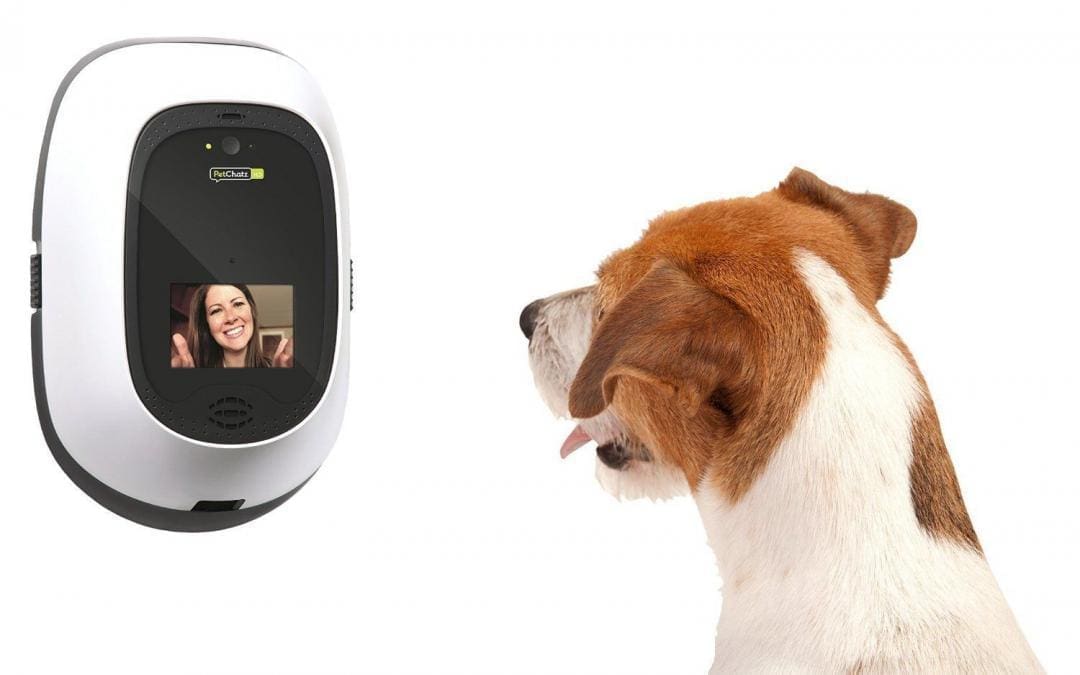 7 Cute Gifts to Buy Your Pup This Holiday Season