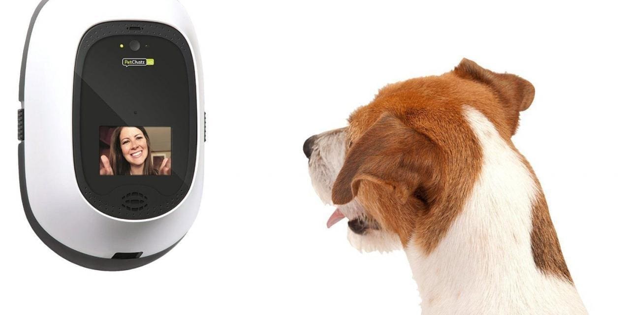 7 Cute Gifts to Buy Your Pup This Holiday Season