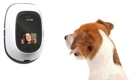 7 Cute Gifts to Buy Your Pup This Holiday Season