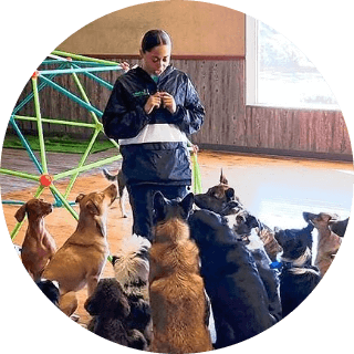 Why are we the best: Our Mission and Philosophy
